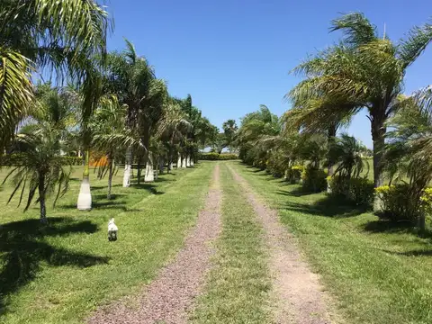 Laishi, Patiño,  Formosa