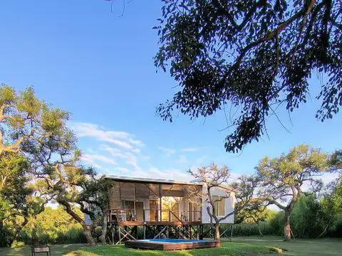 arroyo arroyon , Piso 0