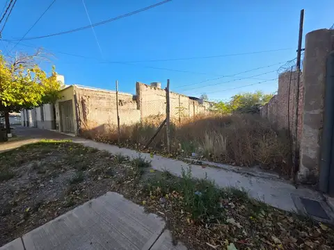 Julian Barraquero 100