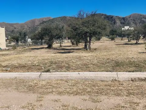 Terreno en Venta 34  mts Fondo