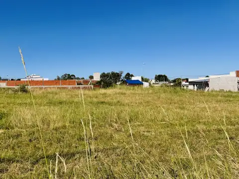 Terreno en Venta 40  mts Fondo