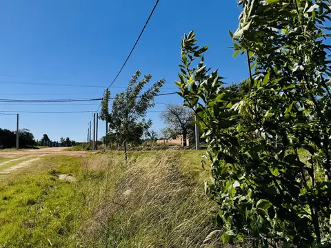 Terreno en Venta de 400,0 m2
