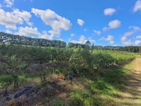 Bv Yuquerí 3200