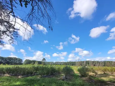 Bv Yuquerí 3200