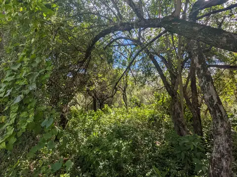 Los Molles, Villa de las Rosas, Traslasierra, Cordoba