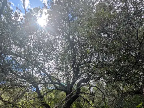 Se vende! ubicacion inmejorable, terreno en Los Molles, Villa de las Rosas, Traslasierra, Cordoba