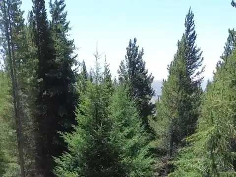 Terreno en Venta 20,16  mts Fondo