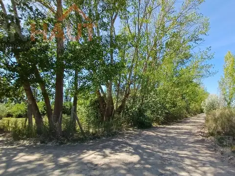 Terreno en Venta 12  mts Fondo