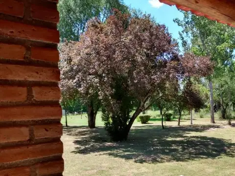 Publica