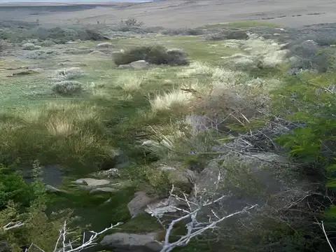 25.000 has campo ganadero “Sierra Nevada”  en Venta - Rio Chico, Santa Cruz