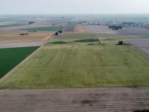 Santa Teresa