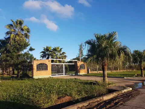 Guemes y Av Marconi