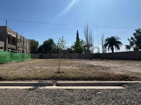 profesor mathus , Piso 0