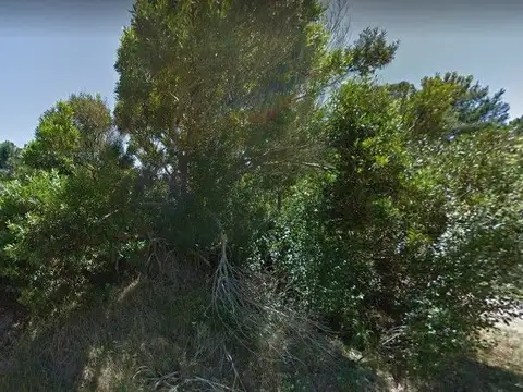 Terreno en Venta 20  mts Fondo