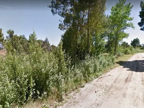 Nuevo loteo | Gran oportunidad en Las Gaviotas!