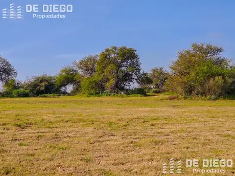 Oportunidad lote terreno de 3556 M2 muy lindas vistas en venta - Carmelo Golf