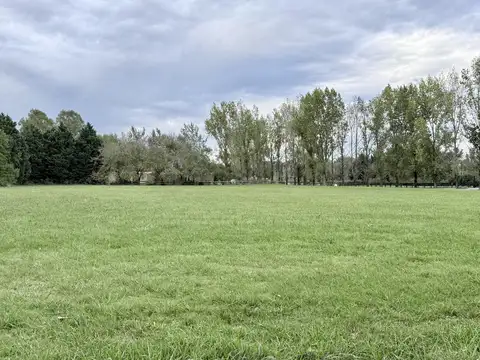 Terreno en Venta de 8161,0 m2