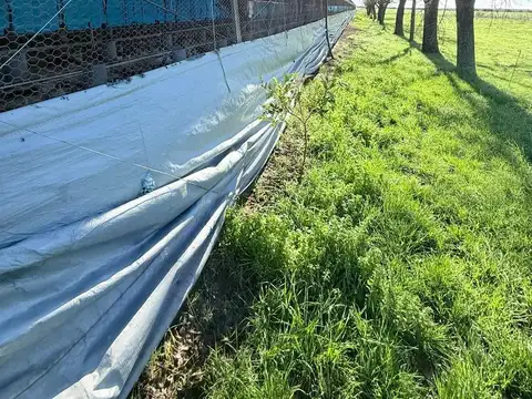 21 hectáreas en venta
