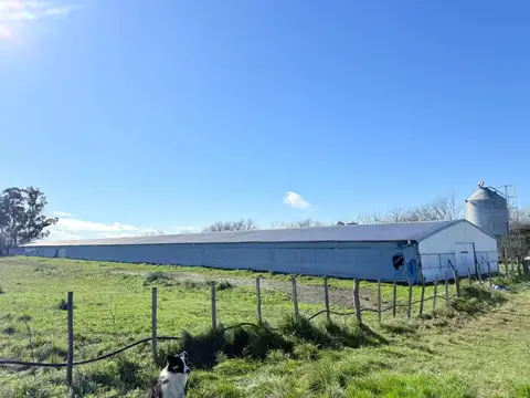 21 hectáreas en venta