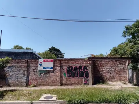 San Benito 300