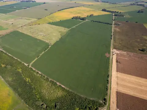 Campo en venta 93ha en Arrecifes