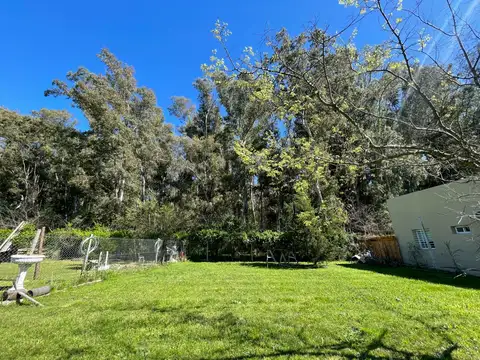 Terreno en Venta 49  mts Fondo