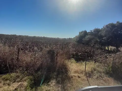 11 has Zona Rural Lehmann