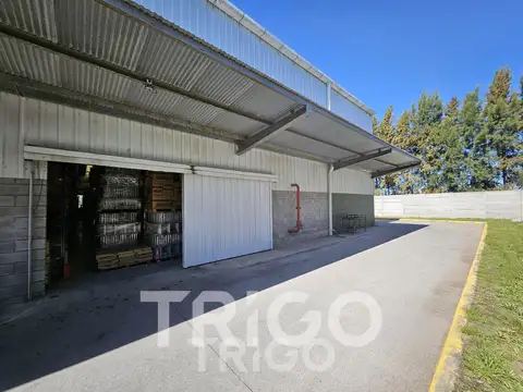Oportunidad única deposito en alquiler 1250m2 con racks en Polo industrial Ezeiza - Zona Sur Oeste