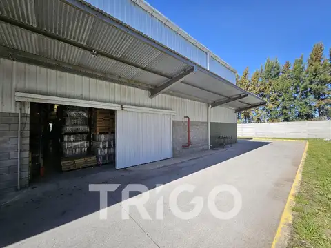 Depósito en alquiler con 950 posisiones incluidas tipo racks Mecalux Polo Industrial Ezeiza