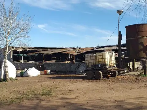 ruta 3 km 117  8 hectareas