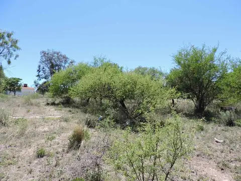 TRANSITO CASERES 500