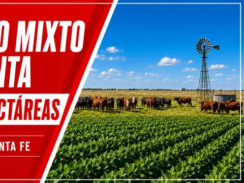 Campo - Rufino