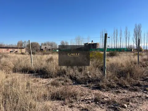 Terreno en Venta en Perdriel, USD 9.500