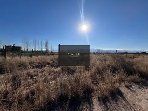 Calle Costa Flores, 100