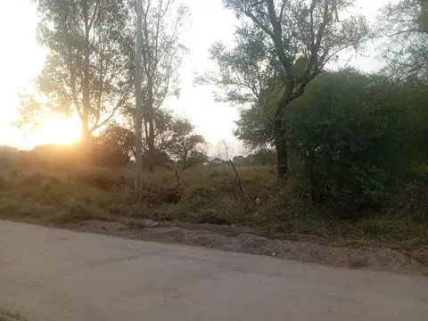 VENTA DE UNA HECTAREA Y MEDIA EN LA BAJADA
