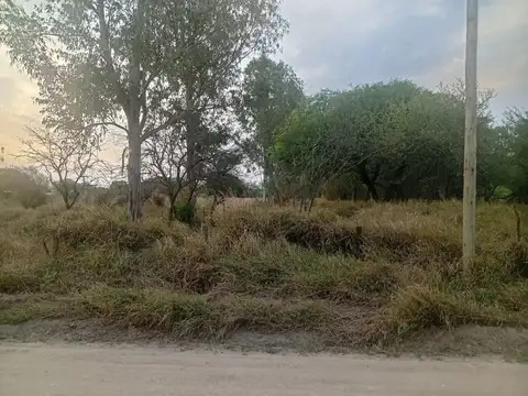 Camino Vecinal