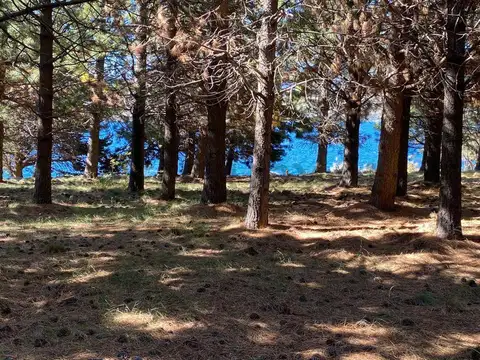 Terreno en Venta en Huechulafquen, USD 34.000