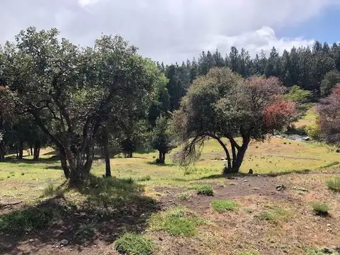 LOTE VENTA  LAGO HUECHULAFQUEN, SAN MARTIN DE LOS ANDES. LOTEO QUILLEHUE