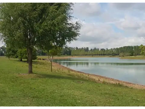 Ruta 6 1