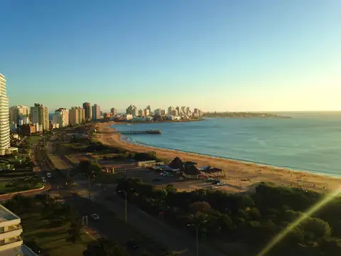 RBLA. CLAUDIO WILLIMAN 100