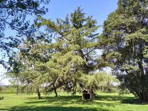 Campo en Venta de 3  ha