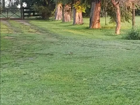 Campo en Venta de 3  ha