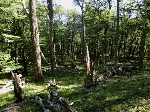 Estancia a orillas del Lago 2