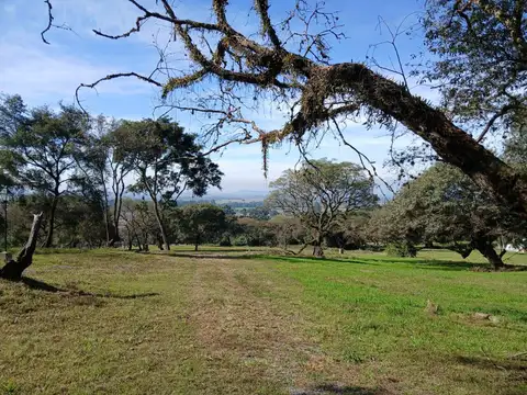 LOTE EN VENTA  CHACRAS DE PULARES  CHICOANA