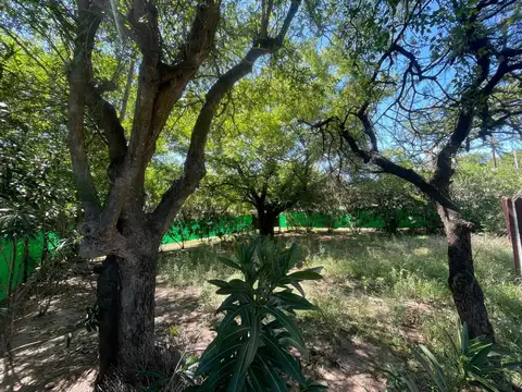 Terreno sobre Av. Martín Tissera