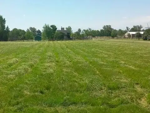 Venta Lote  Club de Campo La Ranita  | VCO Propiedades