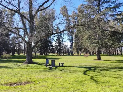 Terreno en Venta de 3378,0 m2