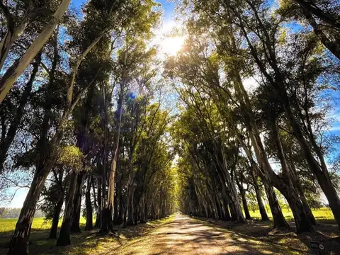 Bernardino Rivadavia