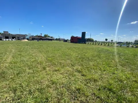 Menchaca 2000