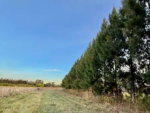 16 hectáreas estratégicas en Brandsen – Doble acceso y potencial de desarrollo